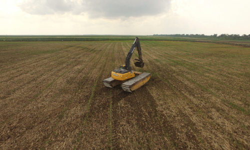 Cattail Removal Services | Image 2